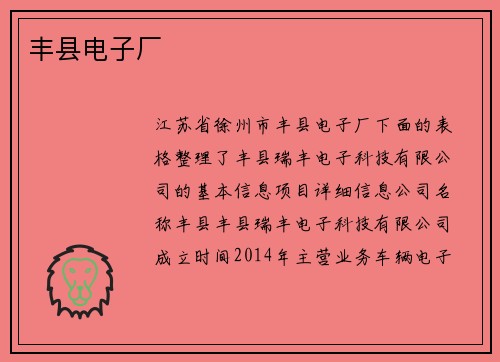 丰县电子厂