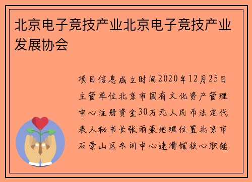 北京电子竞技产业北京电子竞技产业发展协会